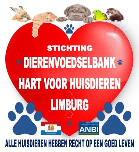 logo DVB HVH Limburg