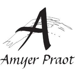 foto amby.JPG