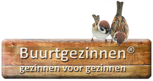 Buurtgezinnen