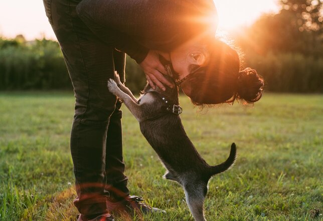 puppycursus