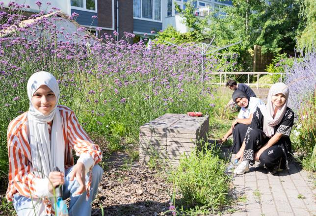 3 meisjes tussen lavendel